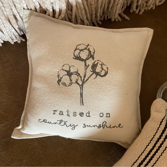 Pillows⭐️NWT ~ Set of 2 Small Cream Boho/Farmhouse - Picture 3 of 7